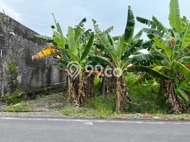 Kavling Tanah di Banjarsari Dijual Luas 165m2 Legalitas SHM Kavling Tanah di Banjarsari Dijual Luas 165m2 Legalitas SHM