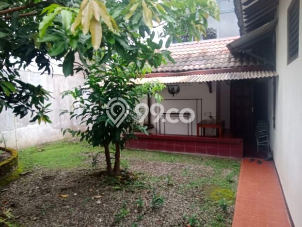 Siap Huni Rumah Mewah 3 Kamar di Laweyan Dekat ke Mana Saja Siap Huni Rumah Mewah 3 Kamar di Laweyan Dekat ke Mana Saja