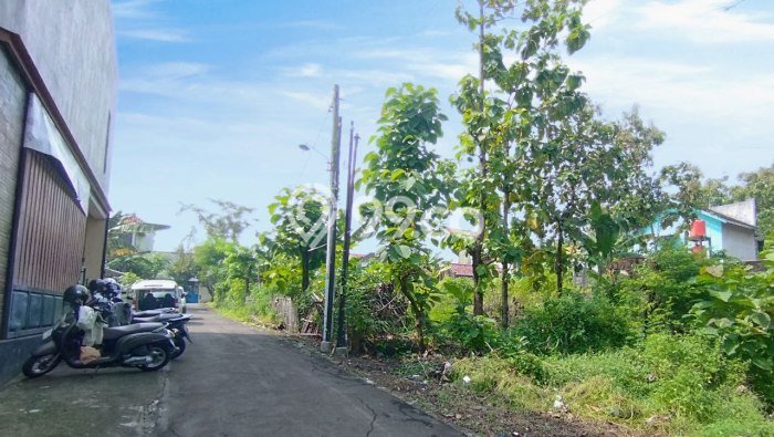 Kavling Tanah di Jaten Dijual Luas 972m2 Legalitas SHM Kavling Tanah di Jaten Dijual Luas 972m2 Legalitas SHM