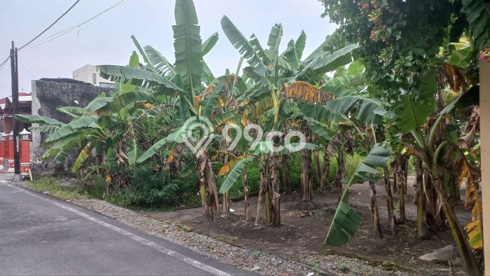 Tanah Komersial Dijual di Banjarsari Surakarta 165m2 Tanah Komersial Dijual di Banjarsari Surakarta 165m2
