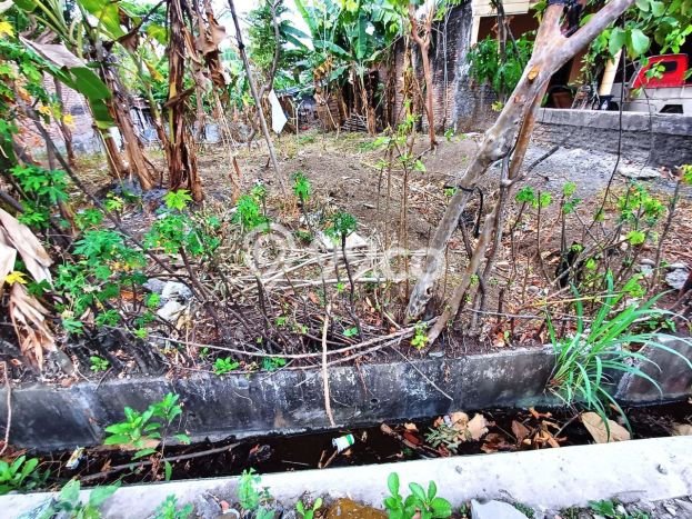 Untuk Dijual Tanah di Jebres Surakarta Luas 350m2 SHM Untuk Dijual Tanah di Jebres Surakarta Luas 350m2 SHM