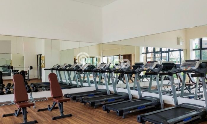 Disewakan Apartemen Minimalis 20m2 Punya 1 KT, 0 KM, Lokasi di BSD Disewakan Apartemen Minimalis 20m2 Punya 1 KT, 0 KM, Lokasi di BSD