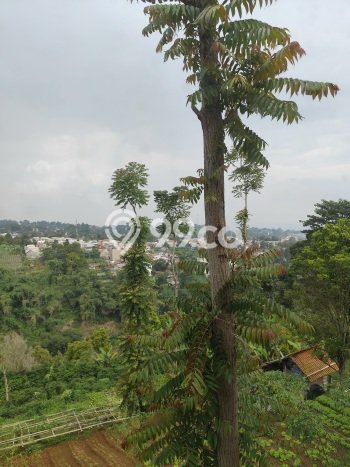 Dijual Rumah Modern 3 KT di Setiabudi, Bandung Dijual Rumah Modern 3 KT di Setiabudi, Bandung