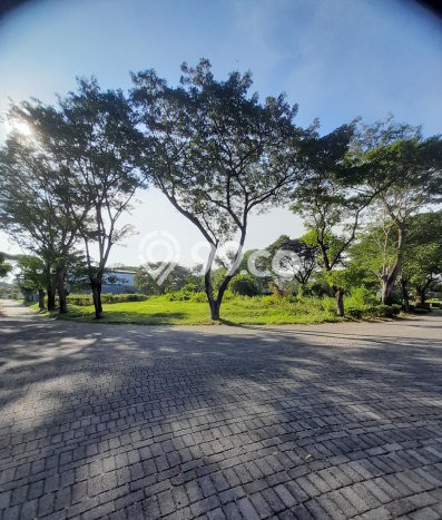 Kavling Tanah untuk Dijual di Citraland, Surabaya, Luas 1179m2 Kavling Tanah untuk Dijual di Citraland, Surabaya, Luas 1179m2