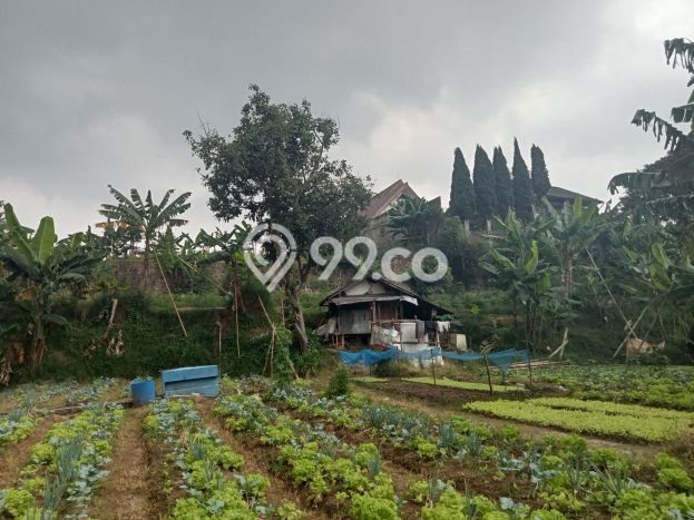 Tanah Dijual Lokasi Strategis di Bandung dengan Luas 1515m2 Tanah Dijual Lokasi Strategis di Bandung dengan Luas 1515m2
