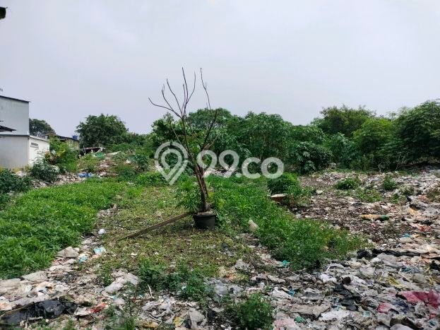 Tanah Ngantong 10X775 Cocok untuk Lapangan Paddle, Perumahan, Hotel, Kost Kost An, Gedung Terletak di Taman Palem Lestari Tanah Ngantong 10X775 Cocok untuk Lapangan Paddle, Perumahan, Hotel, Kost Kost An, Gedung Terletak di Taman Palem Lestari