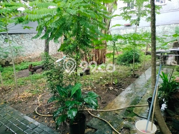 Rumah Luas Kalibata Ada 15 Kamar Kost²an Full Furnished Semua Kamar Mandi Dalam Rumah Luas Kalibata Ada 15 Kamar Kost²an Full Furnished Semua Kamar Mandi Dalam