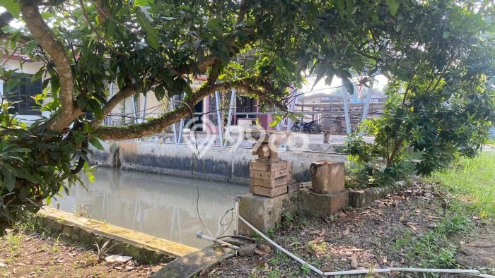 Hunian Eksklusif Siap Huni LT 1500m2 di Pandeglang, Pandeglang Hunian Eksklusif Siap Huni LT 1500m2 di Pandeglang, Pandeglang