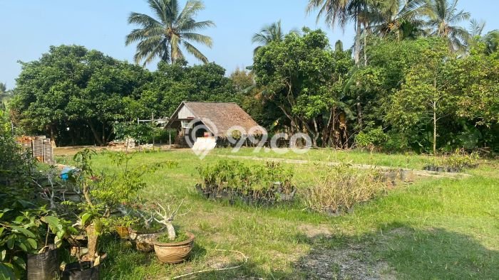 Hunian Eksklusif Siap Huni LT 1500m2 di Pandeglang, Pandeglang Hunian Eksklusif Siap Huni LT 1500m2 di Pandeglang, Pandeglang