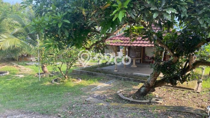Hunian Eksklusif Siap Huni LT 1500m2 di Pandeglang, Pandeglang Hunian Eksklusif Siap Huni LT 1500m2 di Pandeglang, Pandeglang