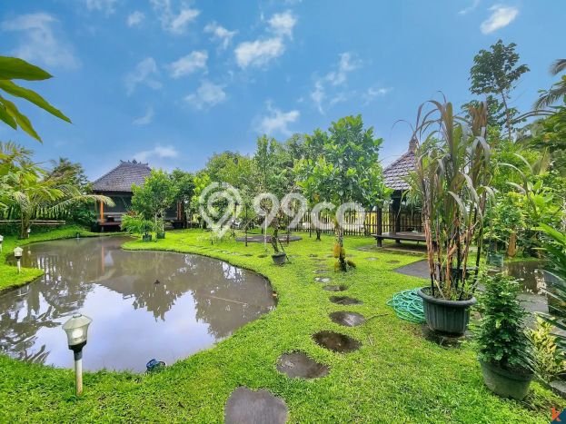 Rumah Nyaman Tabanan, Lingkungan Tenang - LT 3640m2m² Rumah Nyaman Tabanan, Lingkungan Tenang - LT 3640m2m²