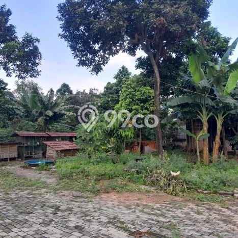 Tanah Lokasi Premium Kawasan Bojong Kulur, Luas 2566m², Cocok untuk Investasi Tanah Lokasi Premium Kawasan Bojong Kulur, Luas 2566m², Cocok untuk Investasi
