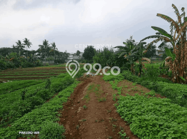 Untuk Dijual Tanah 21000m2 di Bintaro, Tangerang Selatan Untuk Dijual Tanah 21000m2 di Bintaro, Tangerang Selatan