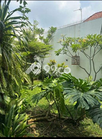 Dijual Rumah Luas Elegan Dengan View Cantik di Rawamangun, Jakarta Timur Dijual Rumah Luas Elegan Dengan View Cantik di Rawamangun, Jakarta Timur
