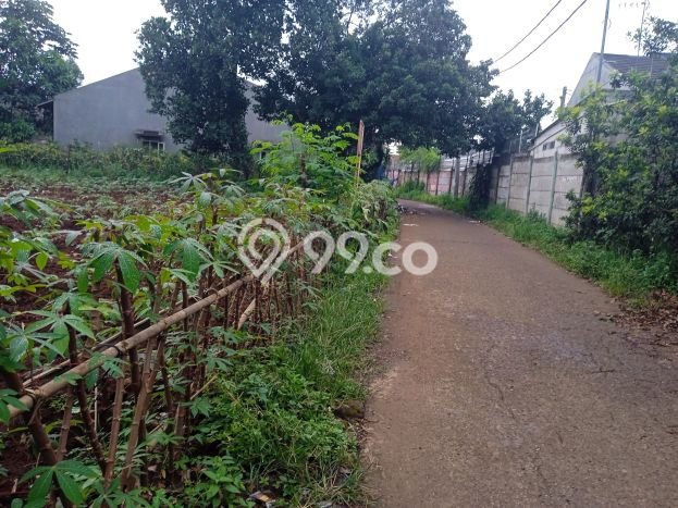 Tanah Dijual Lokasi Cibinong Bogor SHM Tanah Dijual Lokasi Cibinong Bogor SHM