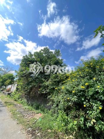 Kavling Tanah untuk Disewa di Balangan Lahan Luas 413m2 Kavling Tanah untuk Disewa di Balangan Lahan Luas 413m2