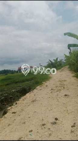 Lahan Dijual Lokasi Tabanan, Tabanan dengan Luas Tanah 4000m2 dan Status SHM Lahan Dijual Lokasi Tabanan, Tabanan dengan Luas Tanah 4000m2 dan Status SHM