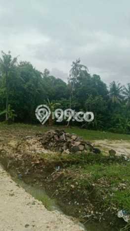 Lahan Dijual Lokasi Tabanan, Tabanan dengan Luas Tanah 4000m2 dan Status SHM Lahan Dijual Lokasi Tabanan, Tabanan dengan Luas Tanah 4000m2 dan Status SHM