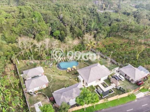 Dapatkan segera Vila di Payangan, Ukuran 3000m2m², Dekat mudah transportasi Dapatkan segera Vila di Payangan, Ukuran 3000m2m², Dekat mudah transportasi