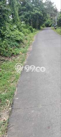 Kavling Tanah di Gianyar Dijual Luas 5290m2 Legalitas SHM Kavling Tanah di Gianyar Dijual Luas 5290m2 Legalitas SHM