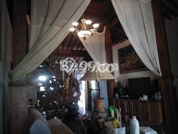 Disewakan Rumah Harga Terjangkau di Kerobokan Badung Punya 3 KT Disewakan Rumah Harga Terjangkau di Kerobokan Badung Punya 3 KT