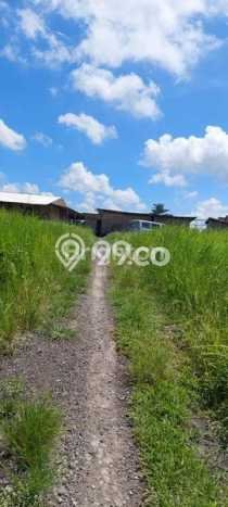 Tanah untuk Dijual Lokasi Gianyar, Gianyar Luas 4000m2 SHM Tanah untuk Dijual Lokasi Gianyar, Gianyar Luas 4000m2 SHM