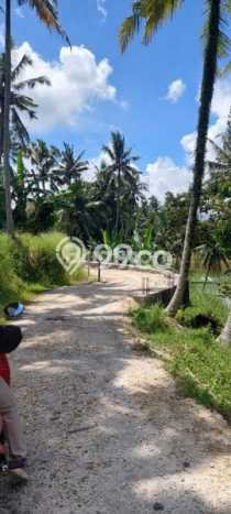 Tanah untuk Dijual Lokasi Gianyar, Gianyar Luas 4000m2 SHM Tanah untuk Dijual Lokasi Gianyar, Gianyar Luas 4000m2 SHM