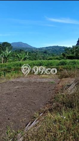 Tanah Investasi Dijual di Tabanan Punya Luas 5130m2 Tanah Investasi Dijual di Tabanan Punya Luas 5130m2