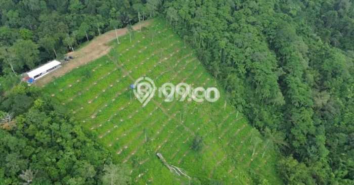 Kavling Tanah Dijual di Tabanan, Tabanan, Luas 1000m2 Area Strategis Kavling Tanah Dijual di Tabanan, Tabanan, Luas 1000m2 Area Strategis