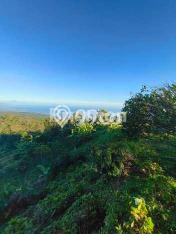 Tanah Kavling Dijual di Buleleng dengan Spesifikasi 3890m2 Tanah Kavling Dijual di Buleleng dengan Spesifikasi 3890m2