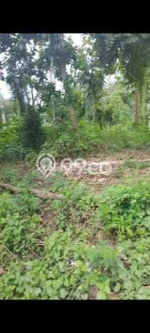Kavling Tanah di Gianyar Dijual Luas 5290m2 Legalitas SHM Kavling Tanah di Gianyar Dijual Luas 5290m2 Legalitas SHM