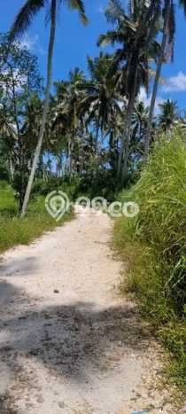 Tanah untuk Dijual Lokasi Gianyar, Gianyar Luas 4000m2 SHM Tanah untuk Dijual Lokasi Gianyar, Gianyar Luas 4000m2 SHM