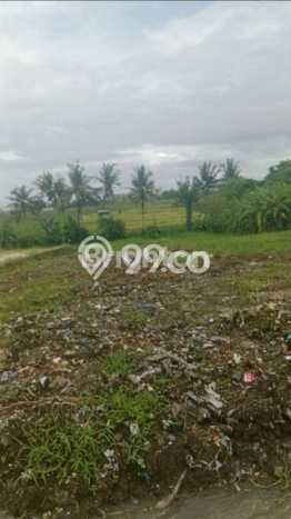 Lahan Dijual Lokasi Tabanan, Tabanan dengan Luas Tanah 4000m2 dan Status SHM Lahan Dijual Lokasi Tabanan, Tabanan dengan Luas Tanah 4000m2 dan Status SHM
