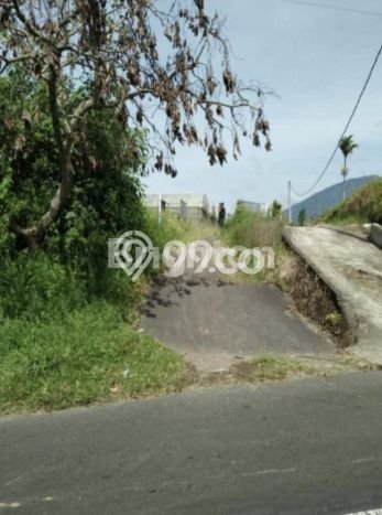 Tanah Investasi Dijual di Tabanan Punya Luas 5130m2 Tanah Investasi Dijual di Tabanan Punya Luas 5130m2