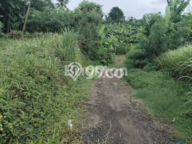 Lahan Investasi Lokasi Gianyar Gianyar SHM Lahan Investasi Lokasi Gianyar Gianyar SHM