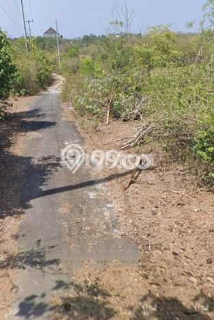 Tanah Dijual Lokasi Strategis di Badung dengan Luas 10000m2 Tanah Dijual Lokasi Strategis di Badung dengan Luas 10000m2