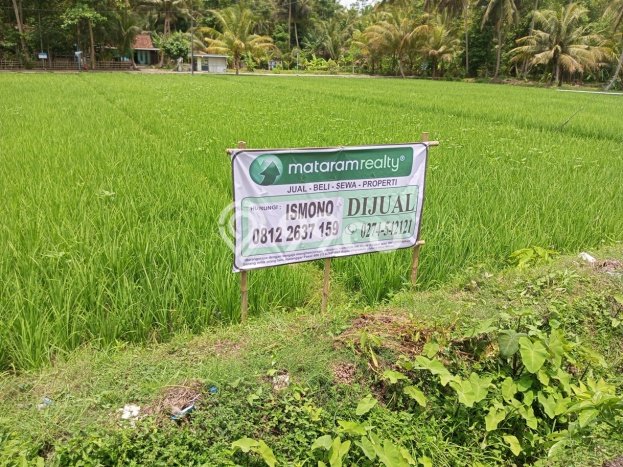 Tanah Dijual Lokasi Lendah, Kulon Progo Luas 872m2 Legalitas Aman Tanah Dijual Lokasi Lendah, Kulon Progo Luas 872m2 Legalitas Aman