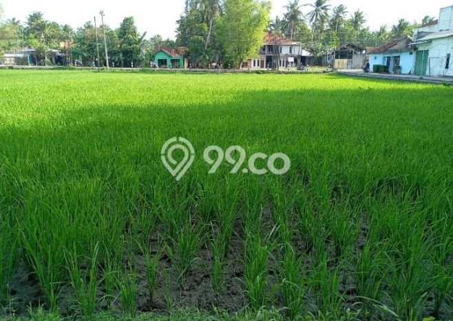 Tanah Dijual Lokasi Lendah, Kulon Progo Luas 872m2 Legalitas Aman Tanah Dijual Lokasi Lendah, Kulon Progo Luas 872m2 Legalitas Aman