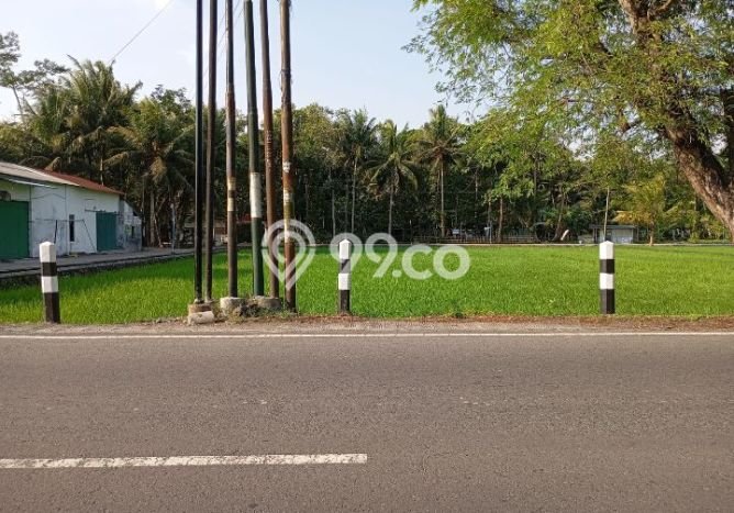 Tanah Dijual Lokasi Lendah, Kulon Progo Luas 872m2 Legalitas Aman Tanah Dijual Lokasi Lendah, Kulon Progo Luas 872m2 Legalitas Aman