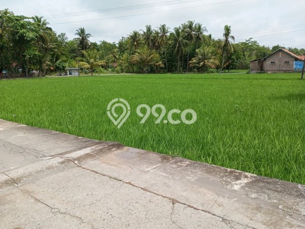 Tanah Dijual Lokasi Lendah, Kulon Progo Luas 872m2 Legalitas Aman Tanah Dijual Lokasi Lendah, Kulon Progo Luas 872m2 Legalitas Aman