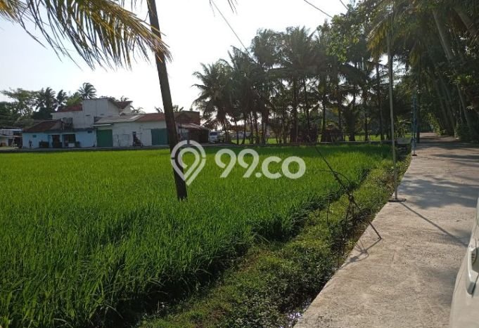 Tanah Dijual Lokasi Lendah, Kulon Progo Luas 872m2 Legalitas Aman Tanah Dijual Lokasi Lendah, Kulon Progo Luas 872m2 Legalitas Aman