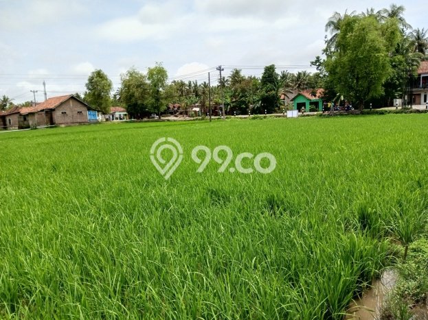 Tanah Dijual Lokasi Lendah, Kulon Progo Luas 872m2 Legalitas Aman Tanah Dijual Lokasi Lendah, Kulon Progo Luas 872m2 Legalitas Aman