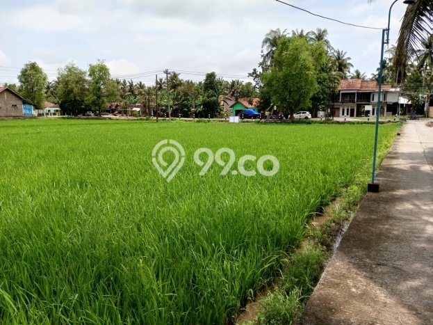 Tanah Dijual Lokasi Lendah, Kulon Progo Luas 872m2 Legalitas Aman Tanah Dijual Lokasi Lendah, Kulon Progo Luas 872m2 Legalitas Aman