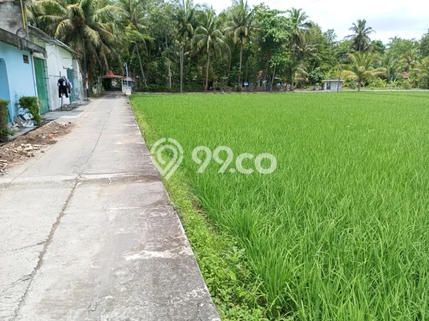 Tanah Dijual Lokasi Lendah, Kulon Progo Luas 872m2 Legalitas Aman Tanah Dijual Lokasi Lendah, Kulon Progo Luas 872m2 Legalitas Aman