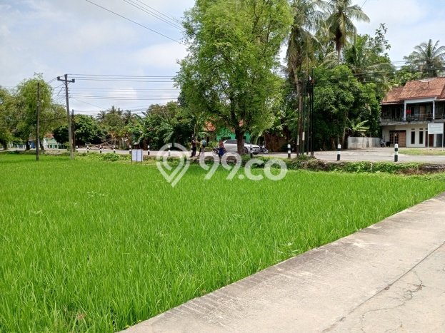 Tanah Dijual Lokasi Lendah, Kulon Progo Luas 872m2 Legalitas Aman Tanah Dijual Lokasi Lendah, Kulon Progo Luas 872m2 Legalitas Aman