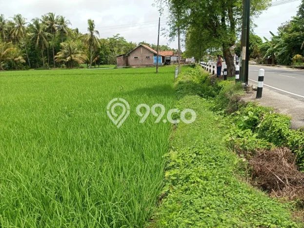 Tanah Dijual Lokasi Lendah, Kulon Progo Luas 872m2 Legalitas Aman Tanah Dijual Lokasi Lendah, Kulon Progo Luas 872m2 Legalitas Aman