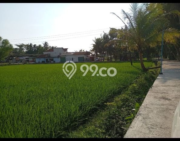 Tanah Dijual Lokasi Lendah, Kulon Progo Luas 872m2 Legalitas Aman Tanah Dijual Lokasi Lendah, Kulon Progo Luas 872m2 Legalitas Aman
