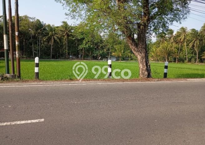 Tanah Dijual Lokasi Lendah, Kulon Progo Luas 872m2 Legalitas Aman Tanah Dijual Lokasi Lendah, Kulon Progo Luas 872m2 Legalitas Aman