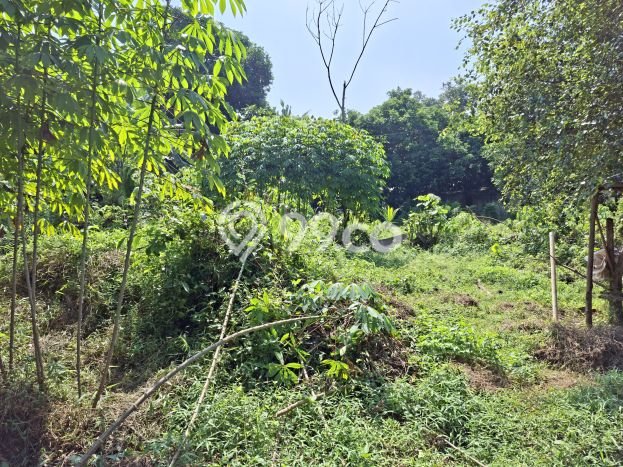 Sewa Tanah Kawasan Panongan, Luas 1000m2m², Akses Bagus Sewa Tanah Kawasan Panongan, Luas 1000m2m², Akses Bagus