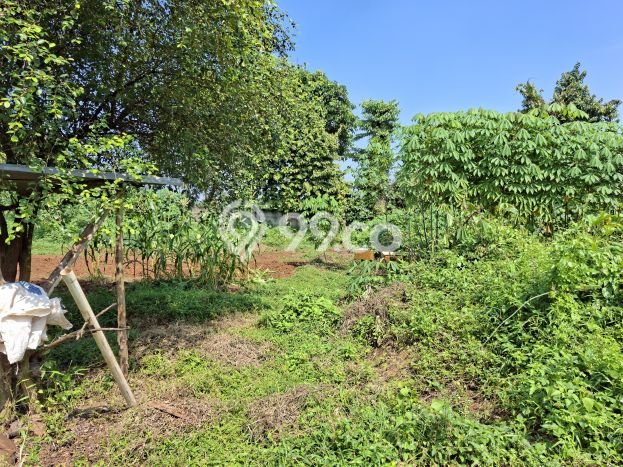 Sewa Tanah Kawasan Panongan, Luas 1000m2m², Akses Bagus Sewa Tanah Kawasan Panongan, Luas 1000m2m², Akses Bagus